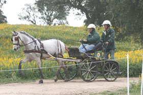 Results of the CAI-B at Vejer